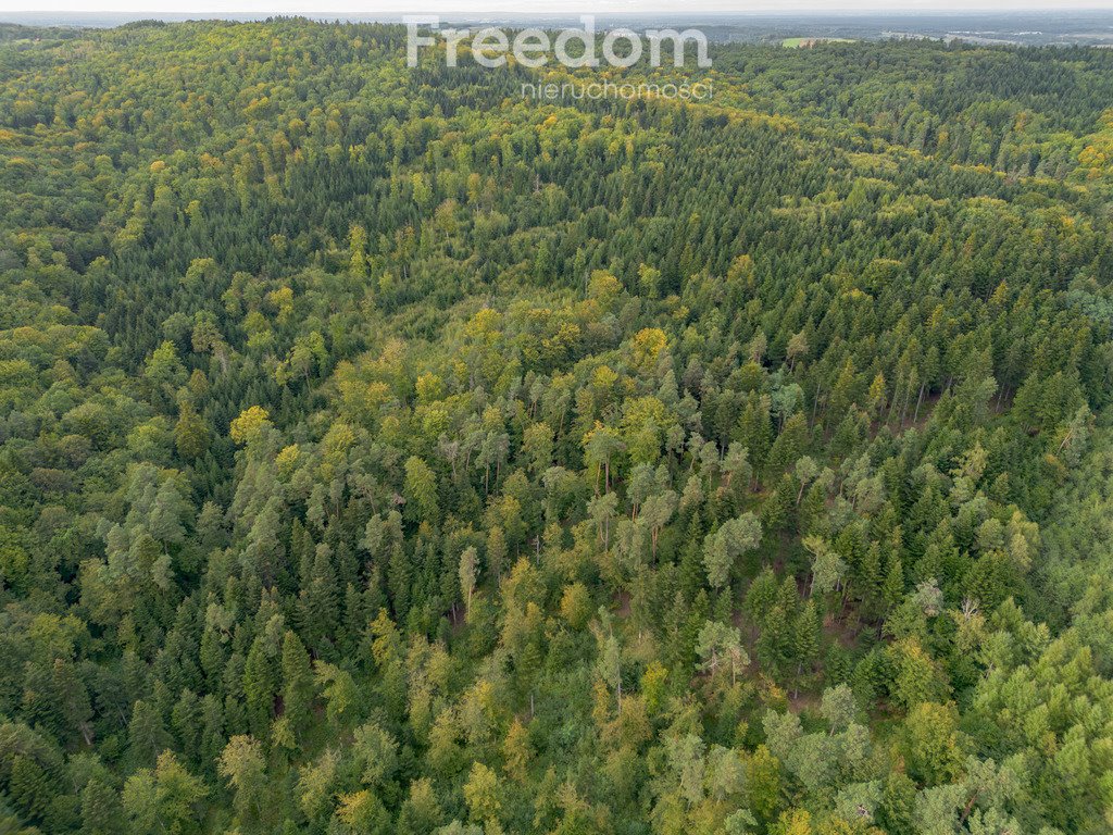 Działka leśna na sprzedaż Olszyny  9 790m2 Foto 14