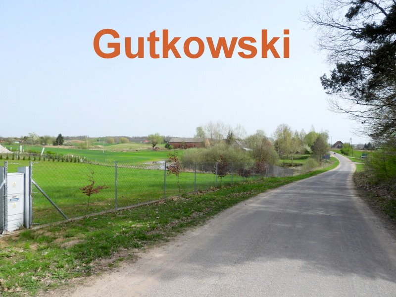 Działka siedliskowa na sprzedaż Nejdyki, gmina Iława, Nejdyki  3 006m2 Foto 12