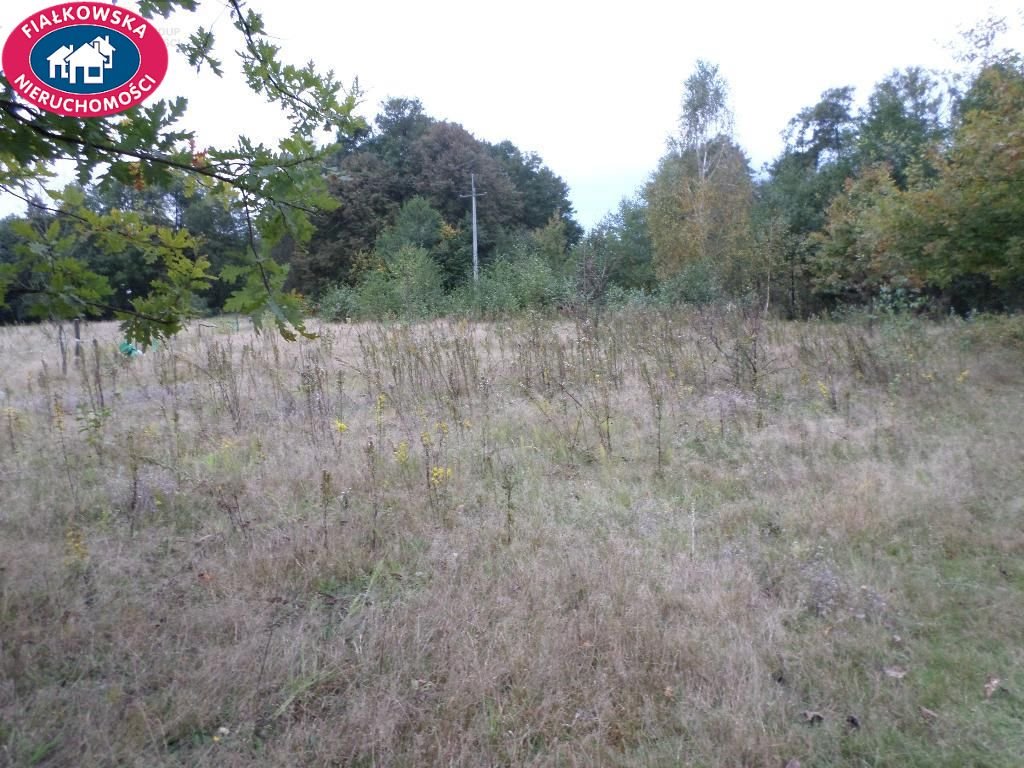 Działka budowlana na sprzedaż Waleriany  5 500m2 Foto 8