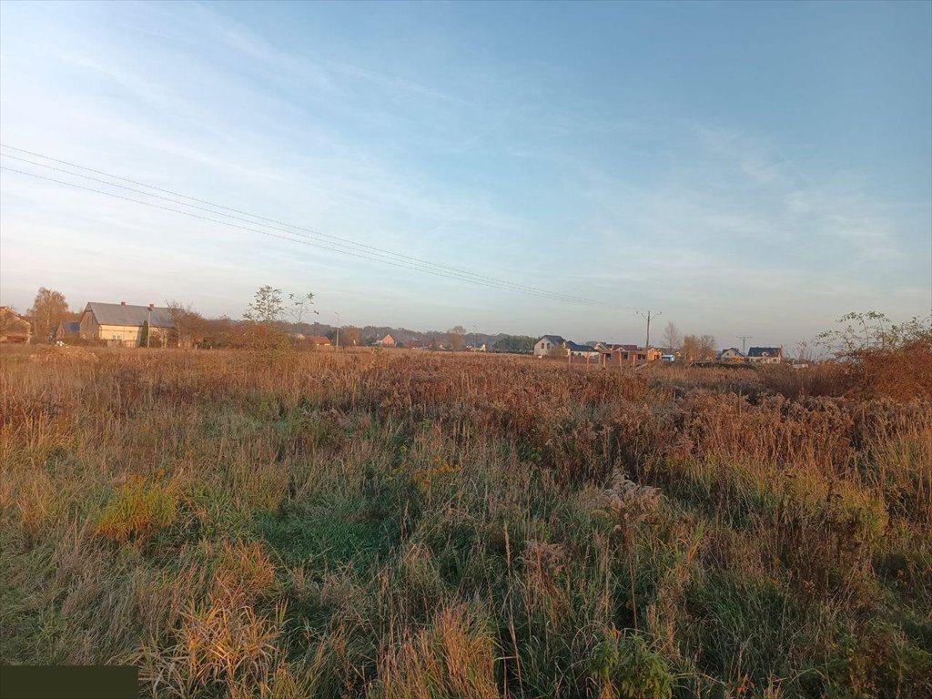 Działka budowlana na sprzedaż Siechnice  1 000m2 Foto 3