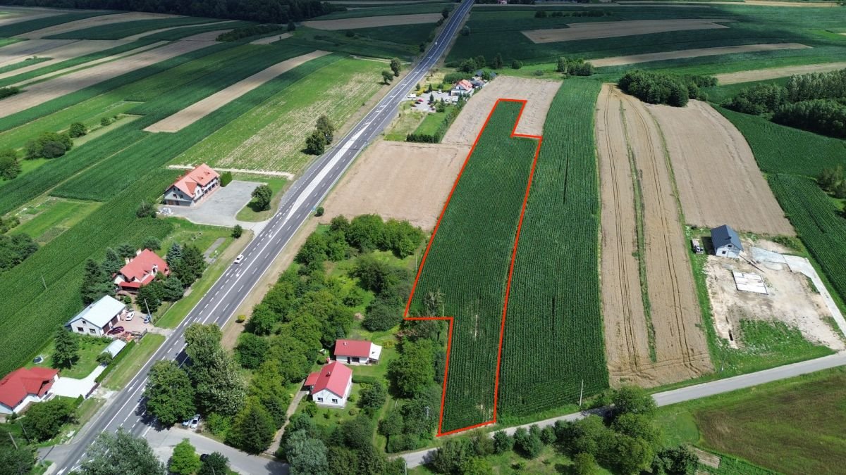 Polecam działkę budowlaną z widokiem i WZ na dom w Rogóżnie Rogóżno  1 290m2 Foto 1