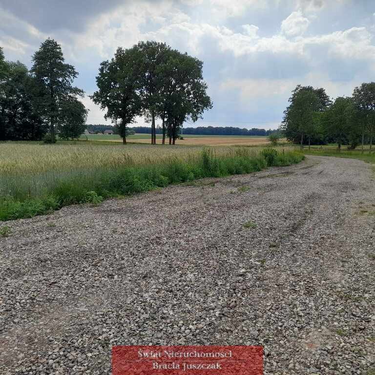 Działka budowlana na sprzedaż Ligota Polska  11 314m2 Foto 8