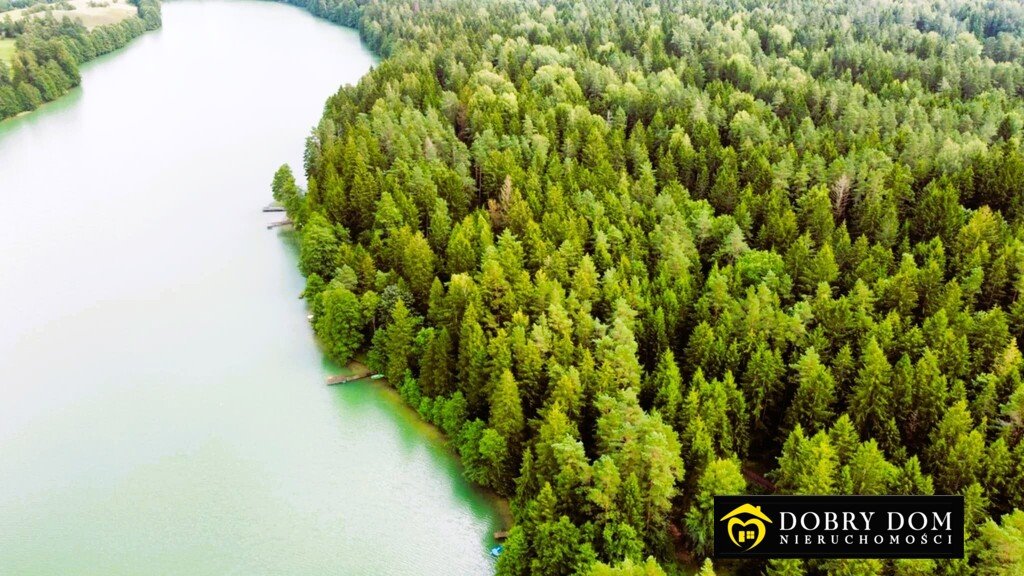 Działka leśna nad jeziorem Wysokie – prywatna oaza Supienie  349m2 Foto 1