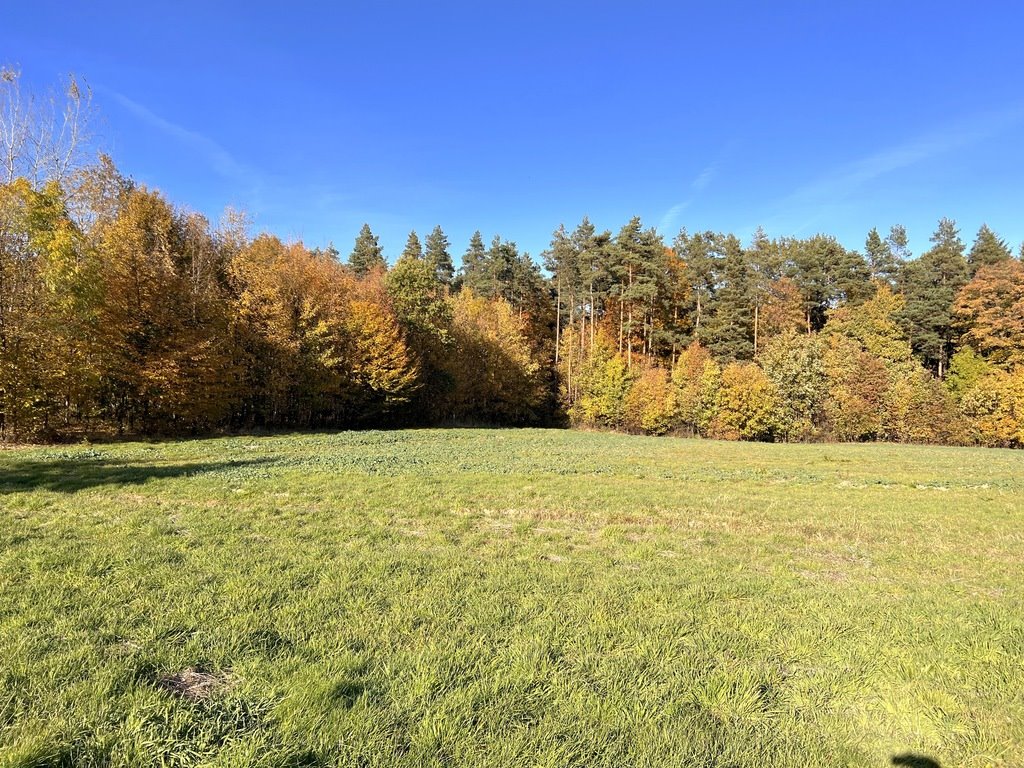 Działka budowlana na sprzedaż Cierpisz  1 670m2 Foto 1