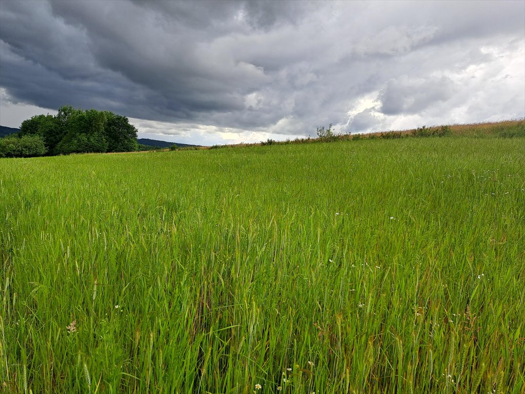 Działka rolna na sprzedaż Sieklówka  8 575m2 Foto 12