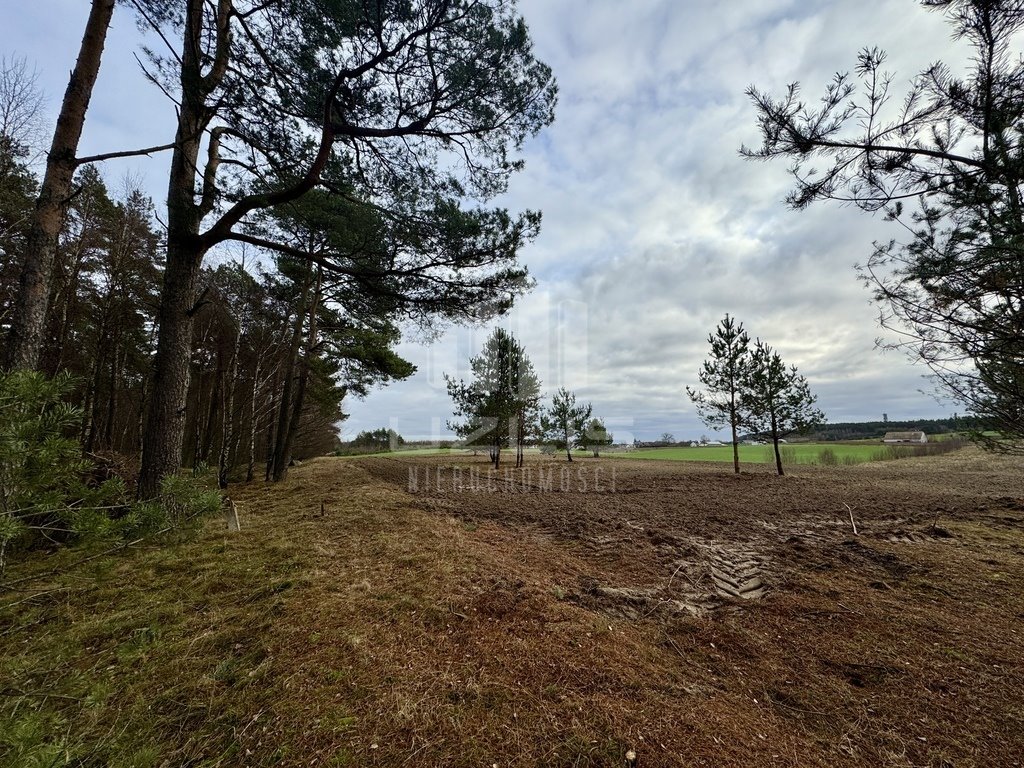 Działka inna na sprzedaż Przytarnia  1 570m2 Foto 11