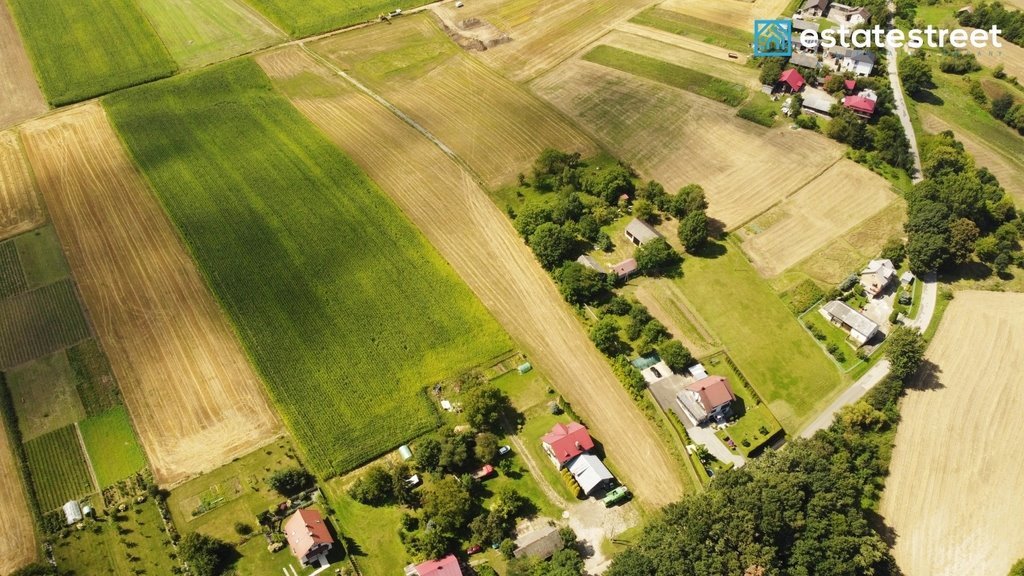 Działka budowlana na sprzedaż Lesieniec  11 206m2 Foto 2