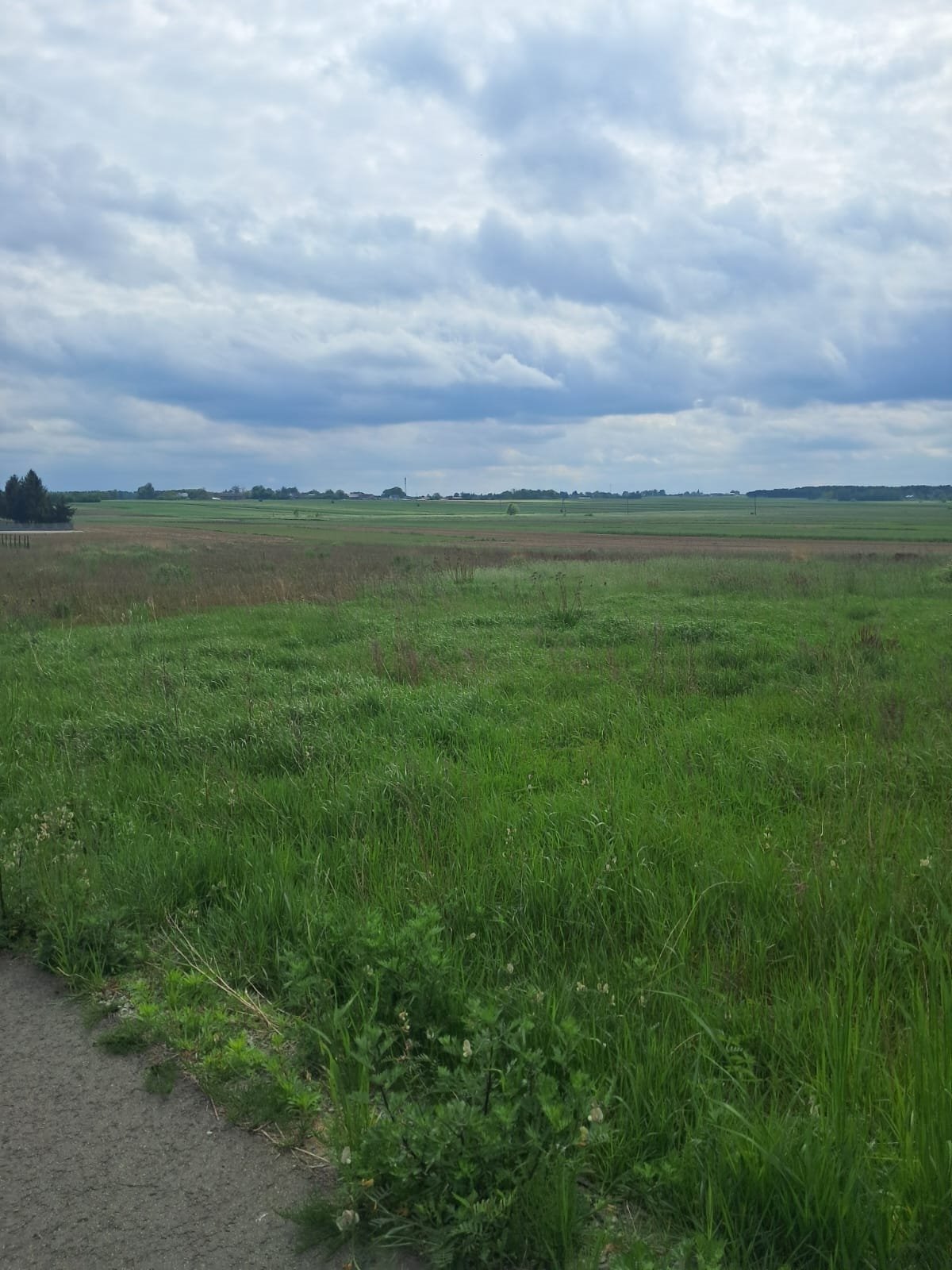 Działka budowlana na sprzedaż Lisków, Strzałków  1 306m2 Foto 1