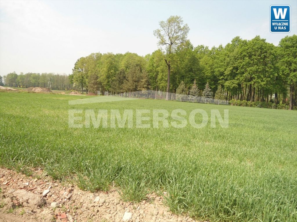 Działka budowlana na sprzedaż Ramułtowice, Ramułtowice 2 900m2 Foto 1 Działka budowlana na sprzedaż Ramułtowice, Ramułtowice 2 900m2 Foto 1
