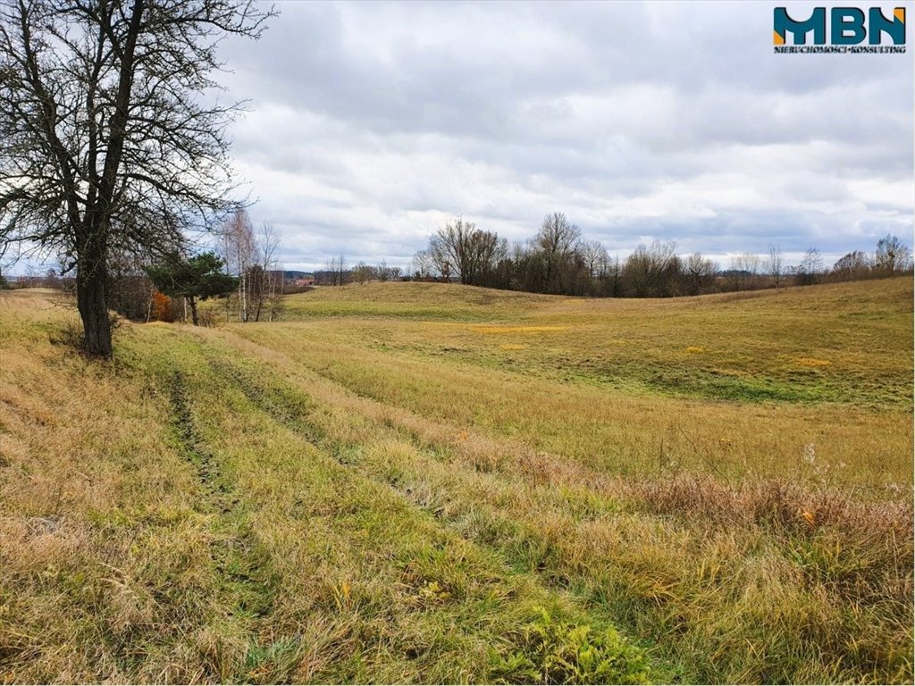 Działka rolna na sprzedaż Tuchlin, Tuchlin  65 579m2 Foto 10