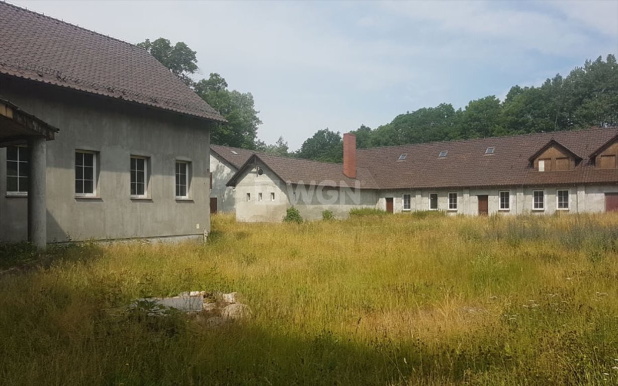 Dom na sprzedaż Ruszów, Ruszów  1 214m2 Foto 1