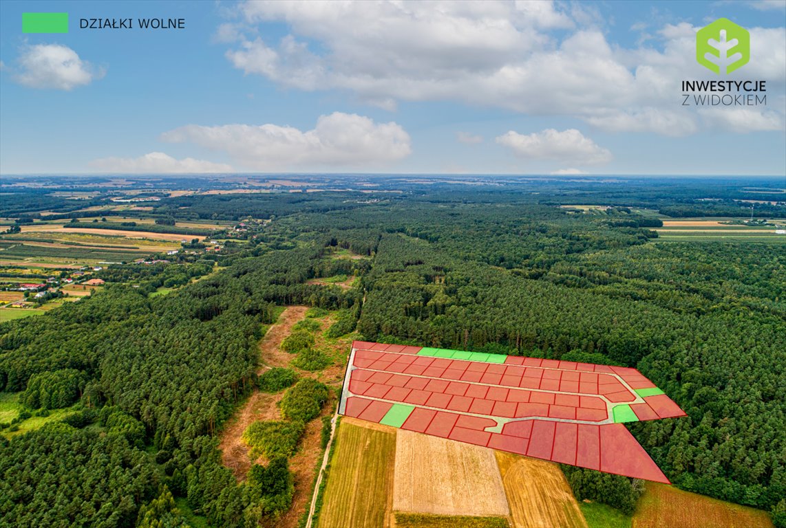 Działka budowlana na sprzedaż Skierniewice, Działka otoczona lasem 50 min od Warszawy!  637m2 Foto 1