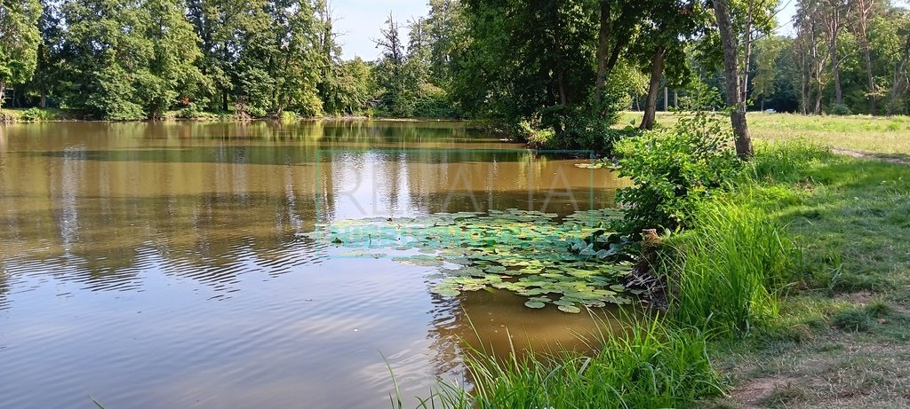 Działka inwestycyjna na sprzedaż Grodzisk Mazowiecki  53 328m2 Foto 19