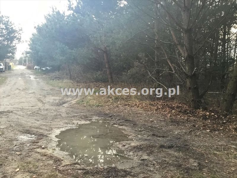 Działka budowlana na sprzedaż Łoś, Łoś 1 900m2 Foto 1 Działka budowlana na sprzedaż Łoś, Łoś 1 900m2 Foto 1