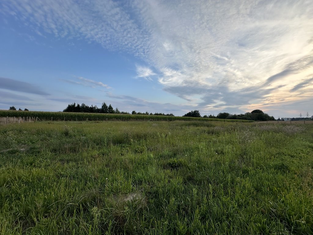 Działka budowlana na sprzedaż Przeworsk  3 001m2 Foto 8