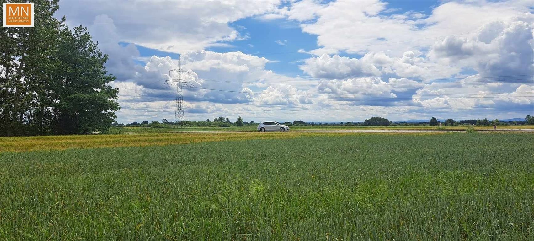 Działka rekreacyjna na sprzedaż Grobla  2 700m2 Foto 9