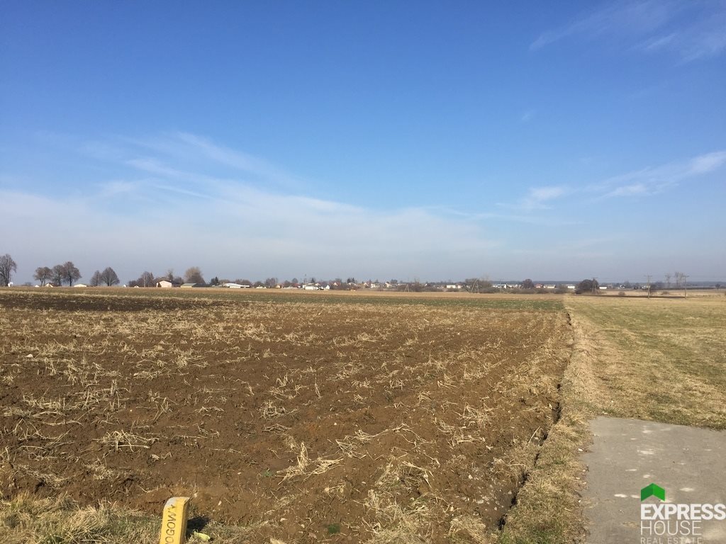 Działka budowlana na sprzedaż Bogucin  26 200m2 Foto 8