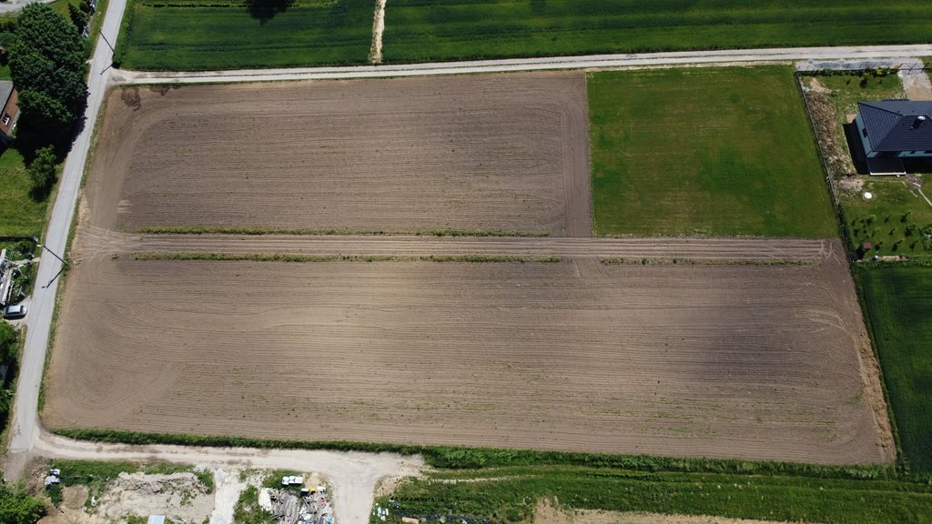 Działka budowlana na sprzedaż Wilków, Kolonia  1 556m2 Foto 6