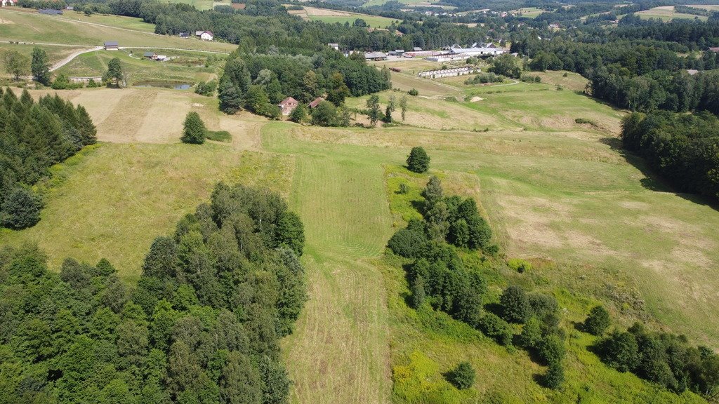 Działka budowlana na sprzedaż Lutcza  107 000m2 Foto 14