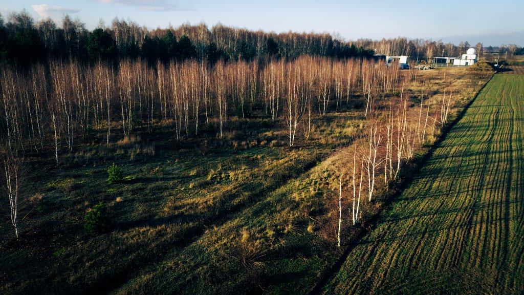 Działka budowlana na sprzedaż Konarzew  1 391m2 Foto 10