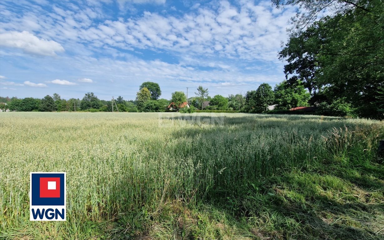 Działka budowlana na sprzedaż Skoczów, Pogórze  2 749m2 Foto 4