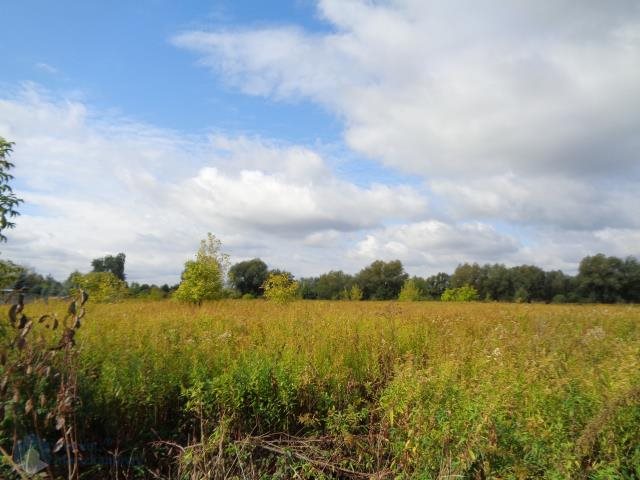 Działka bud.-rolna 11 500 m², blisko natury i miasta Cząstków Mazowiecki  11 500m2 Foto 1