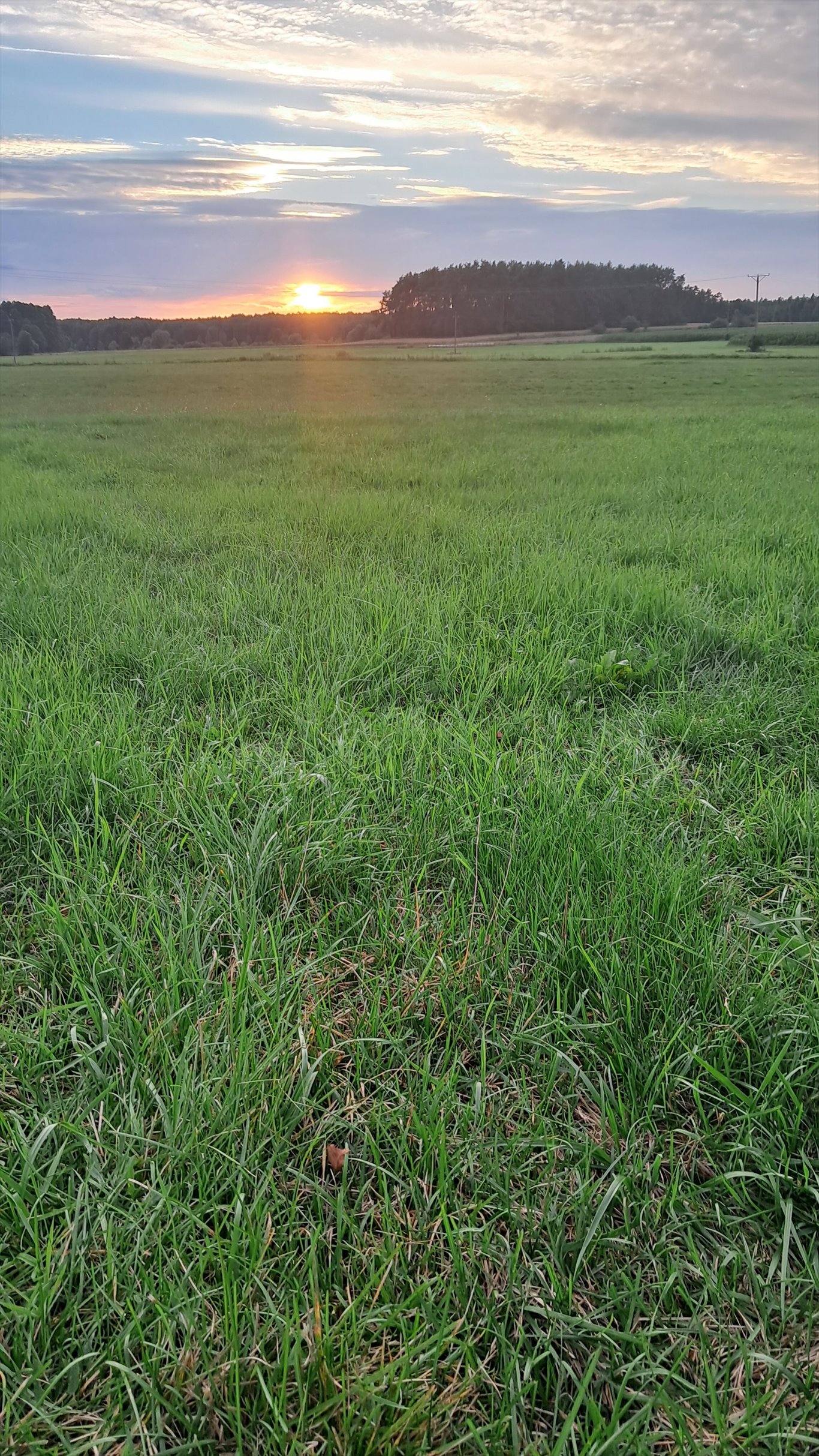Działki z warunkami zabudowy - Gródek - 1000 m² i więcej Gródek  1 000m2 Foto 1