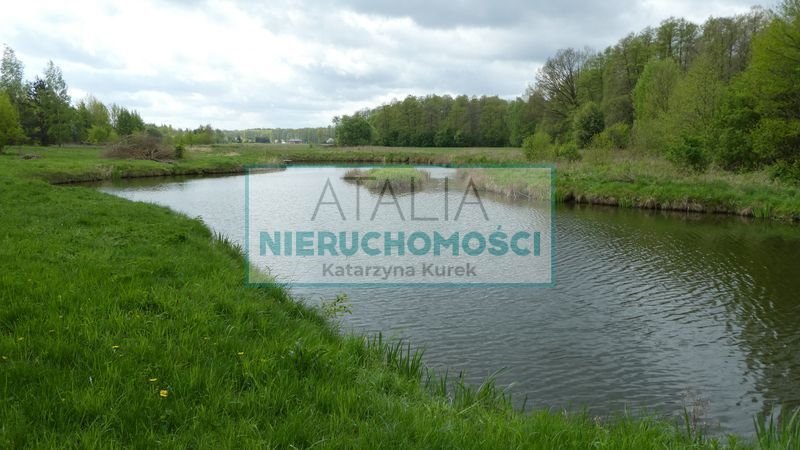 Działka z pozwoleniem na budowę dworu, stawy, media polecam Pieńki Zarębskie  13 600m2 Foto 1