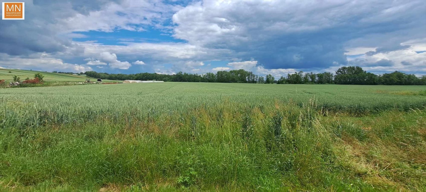 Działka budowlana na sprzedaż Hebdów  4 400m2 Foto 6