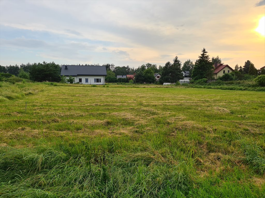 Działka budowlana na sprzedaż Bukowiec, Dolna 116  3 110m2 Foto 12