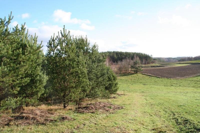 Działka inna na sprzedaż Borzestowo, bez nazwy  43 288m2 Foto 7