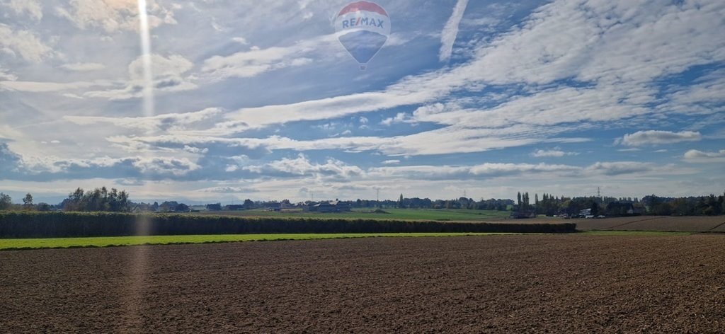 Działka budowlana na sprzedaż Pruchna, Dębowa  4 000m2 Foto 1