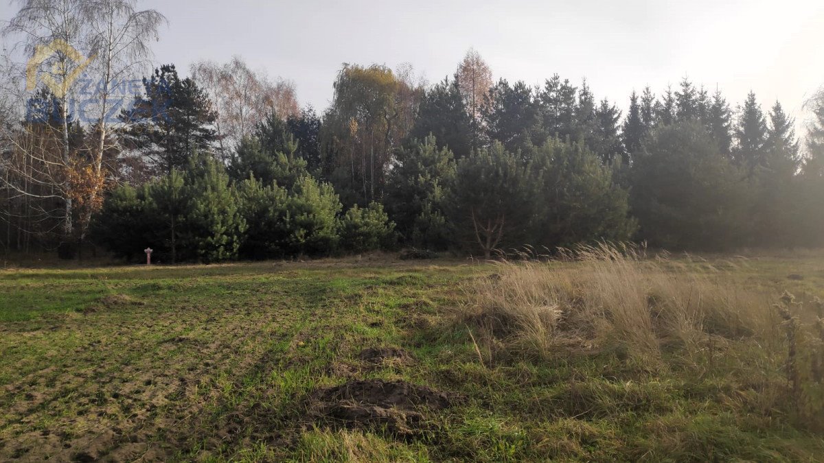 Działka budowlana na sprzedaż Lubiejew  1 000m2 Foto 4