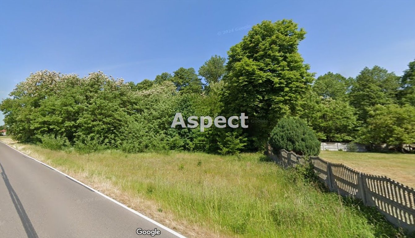 Działka inna na sprzedaż Marianów  11 300m2 Foto 1