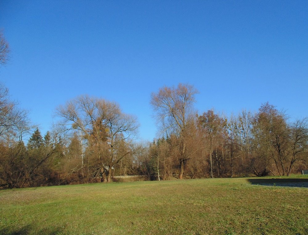 Dom na sprzedaż Konstancin-Jeziorna, Cegielnia-Chylice, Władysława Broniewskiego  1 024m2 Foto 3