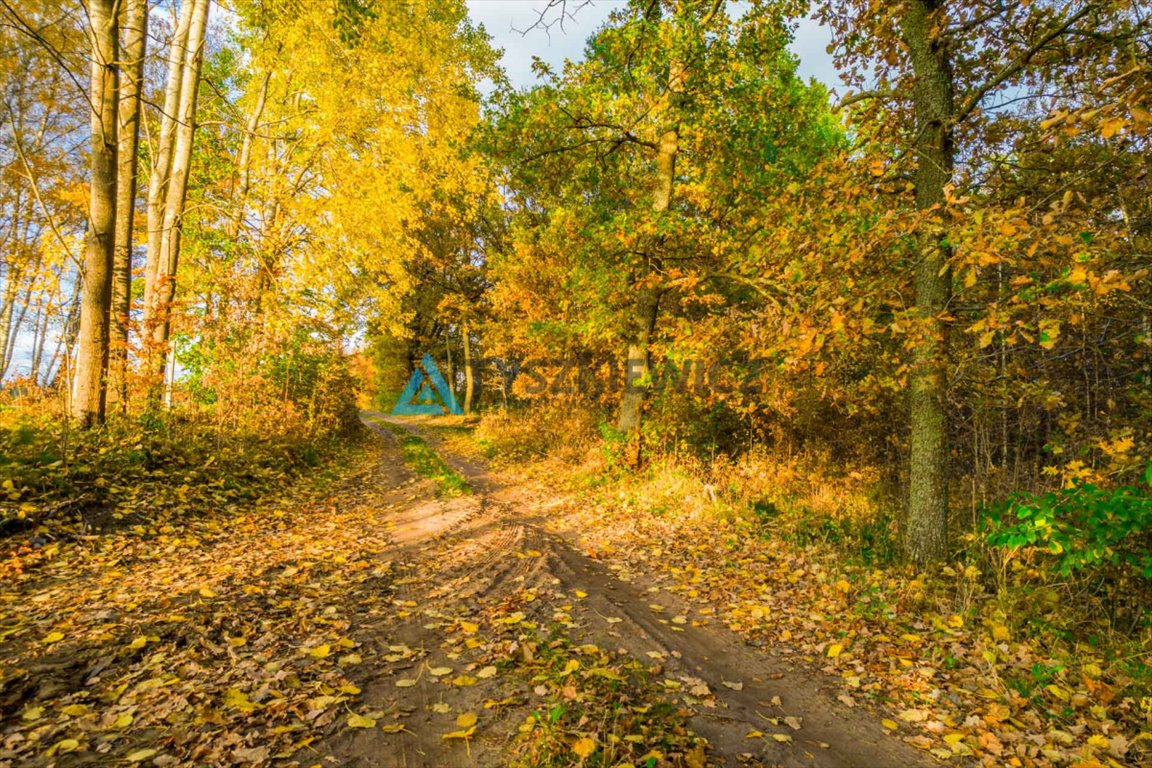 Działka budowlana na sprzedaż Krosnowo  1 579m2 Foto 6