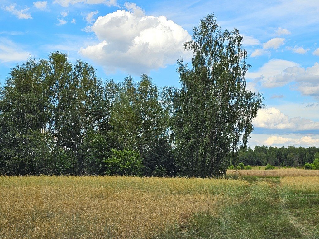 Działka inna na sprzedaż Leszkowice  21 188m2 Foto 2