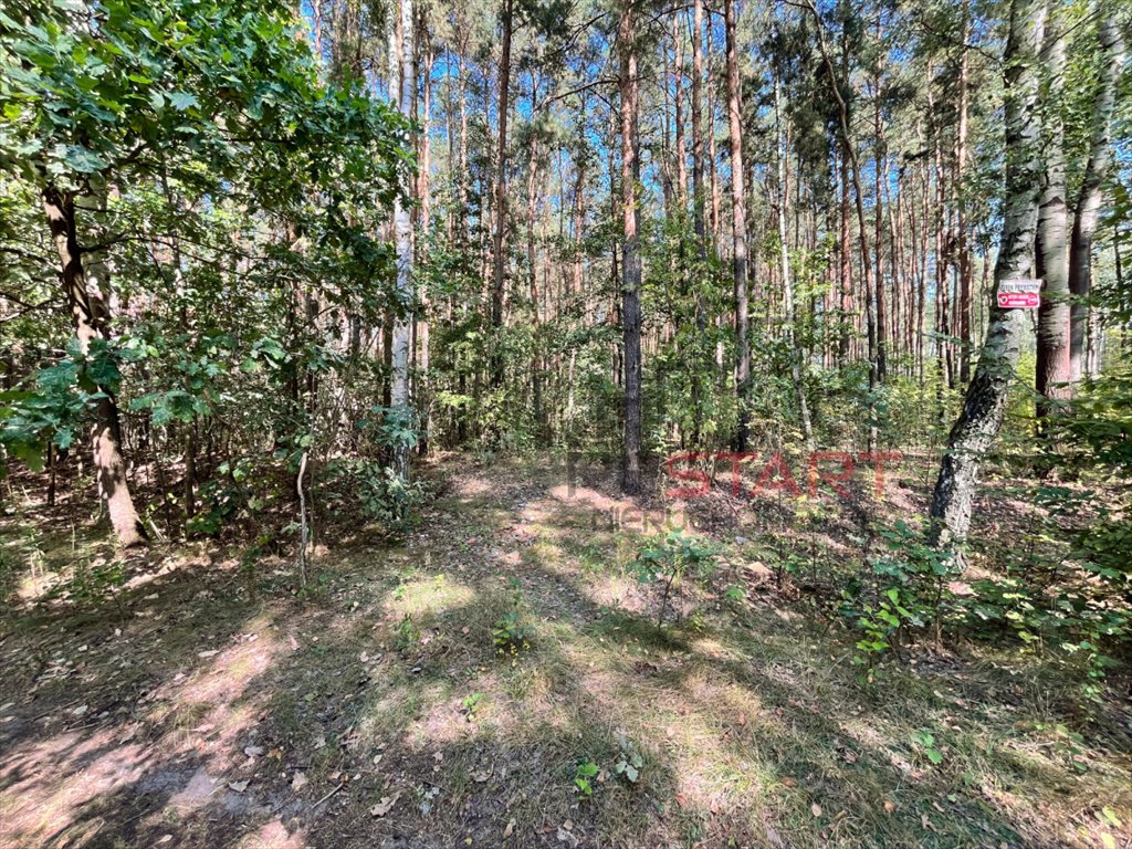 Działka 13 500 m² z możliwością zabudowy i rekreacji Słubica Dobra  13 500m2 Foto 1