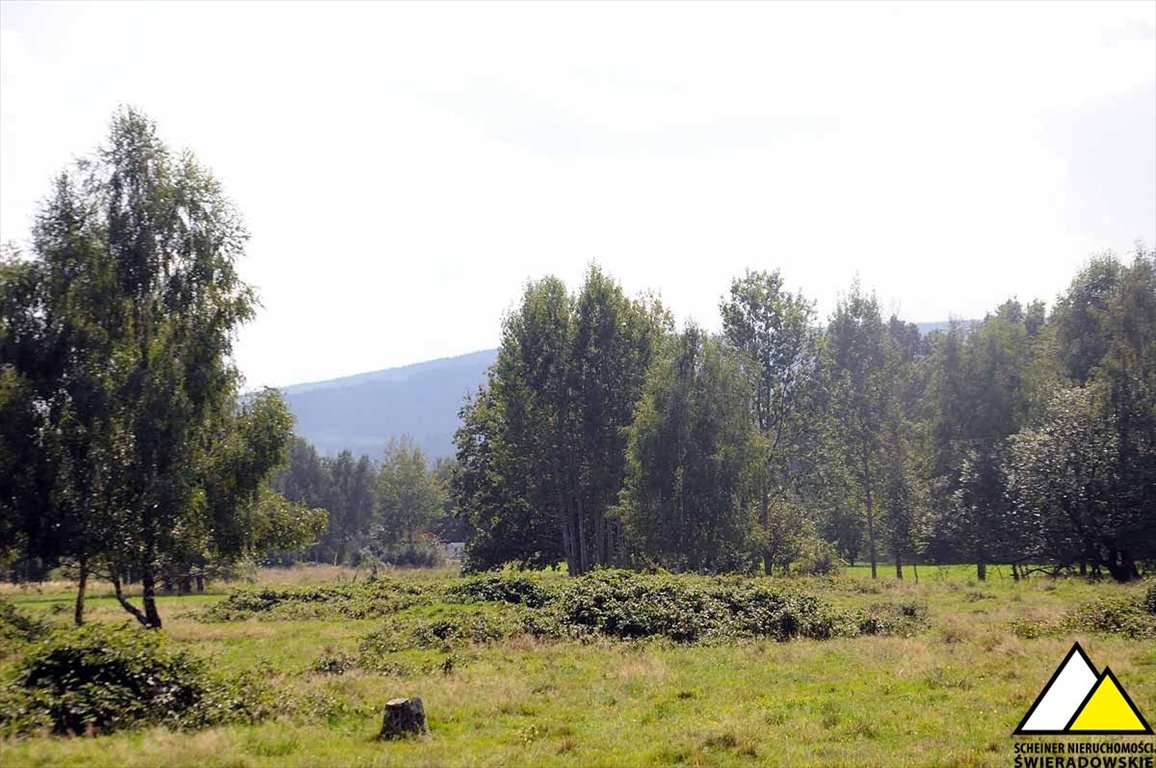 Działka rekreacyjna na sprzedaż Kamień  6 100m2 Foto 6