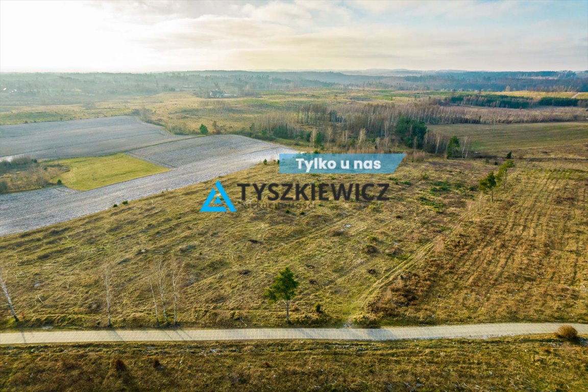 Działka budowlana na sprzedaż Grabowo Parchowskie  24 216m2 Foto 1