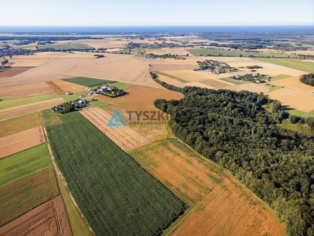 Działka rolna na sprzedaż Lisewo, Leśna  3 032m2 Foto 7