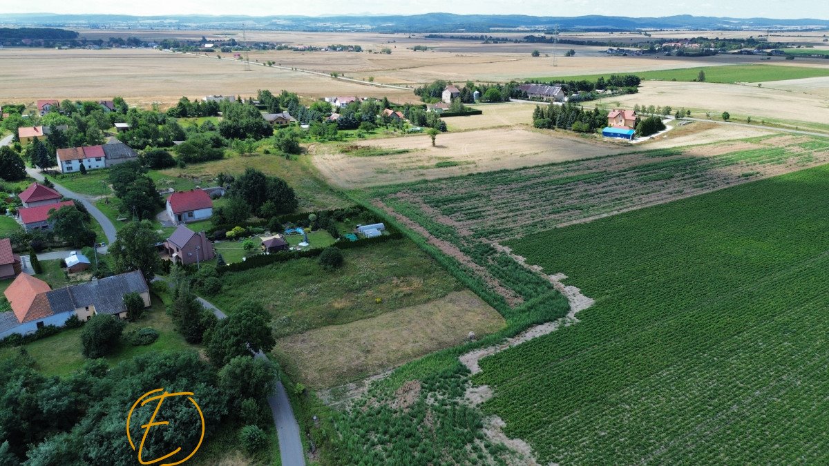 Działka budowlana na sprzedaż Legnica  1 000m2 Foto 6