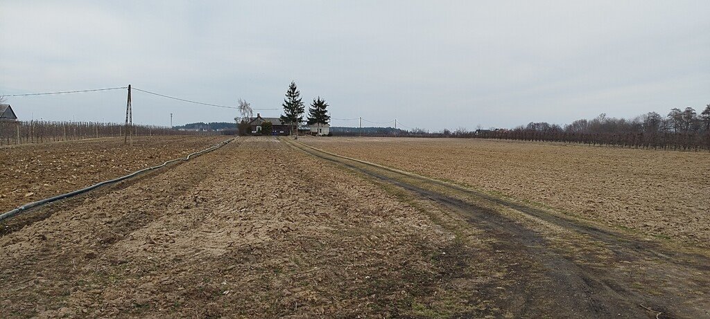 Działka budowlana na sprzedaż Śniadków Górny A  33 800m2 Foto 7