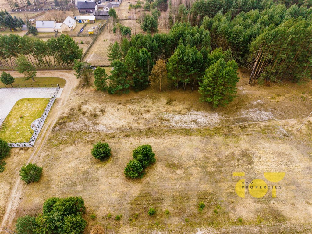 Zdjęcie 6