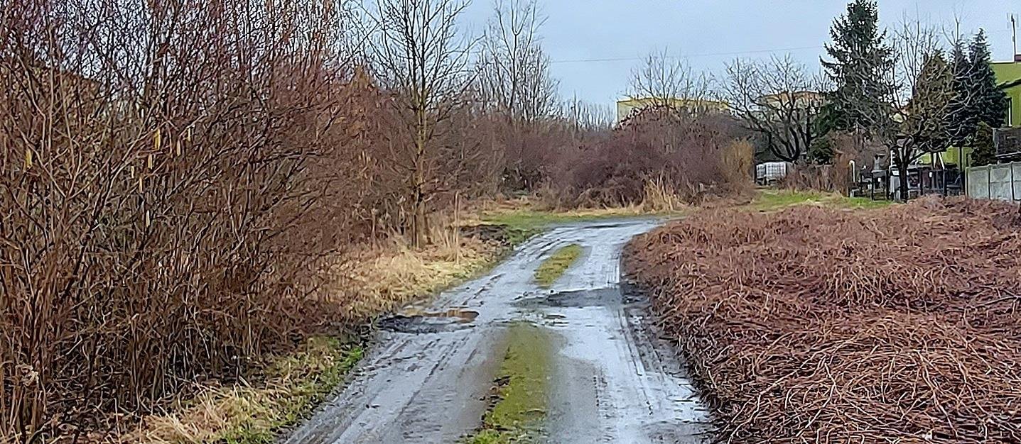 Działka budowlana na sprzedaż Radzionków, Szymały  2 563m2 Foto 2