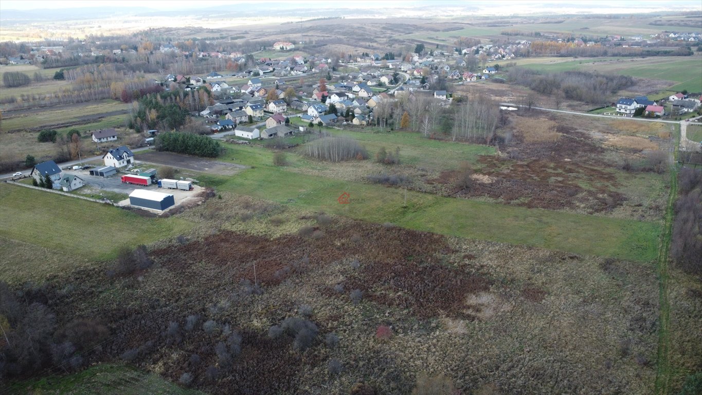 Działka budowlana na sprzedaż Łukowa  6 500m2 Foto 2