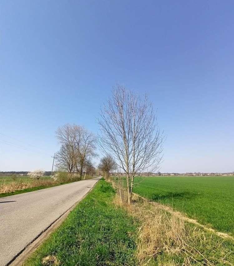 Działka rolna na sprzedaż Sztutowo  3 000m2 Foto 8