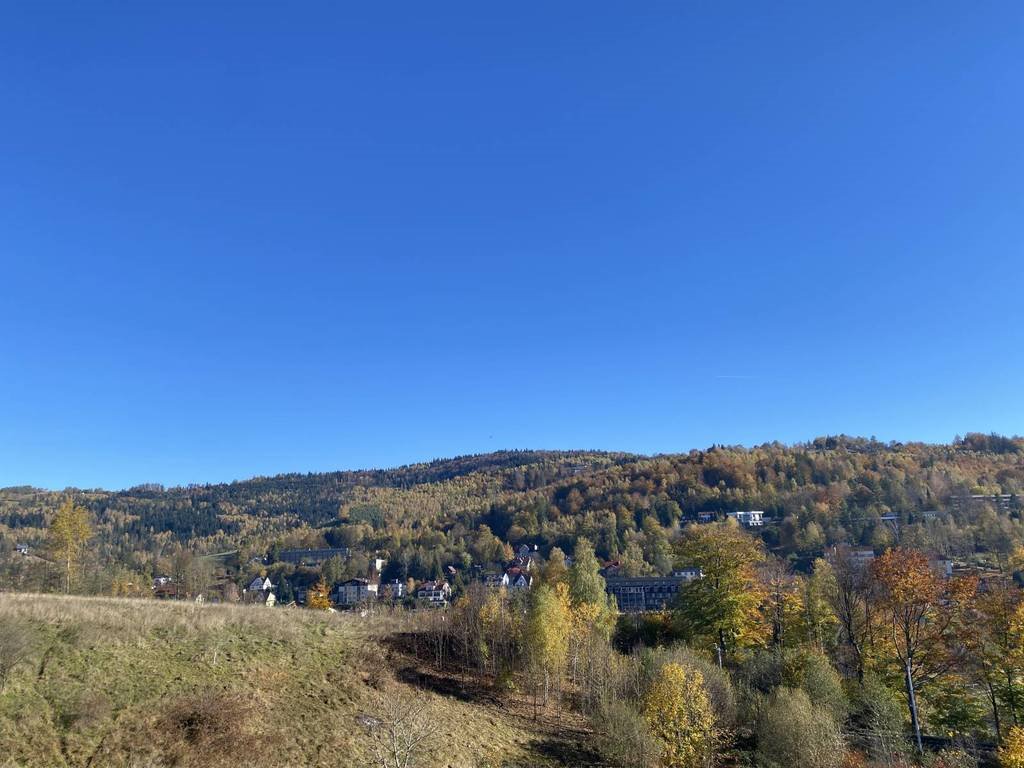 Działka budowlana na sprzedaż Wisła  7 000m2 Foto 1