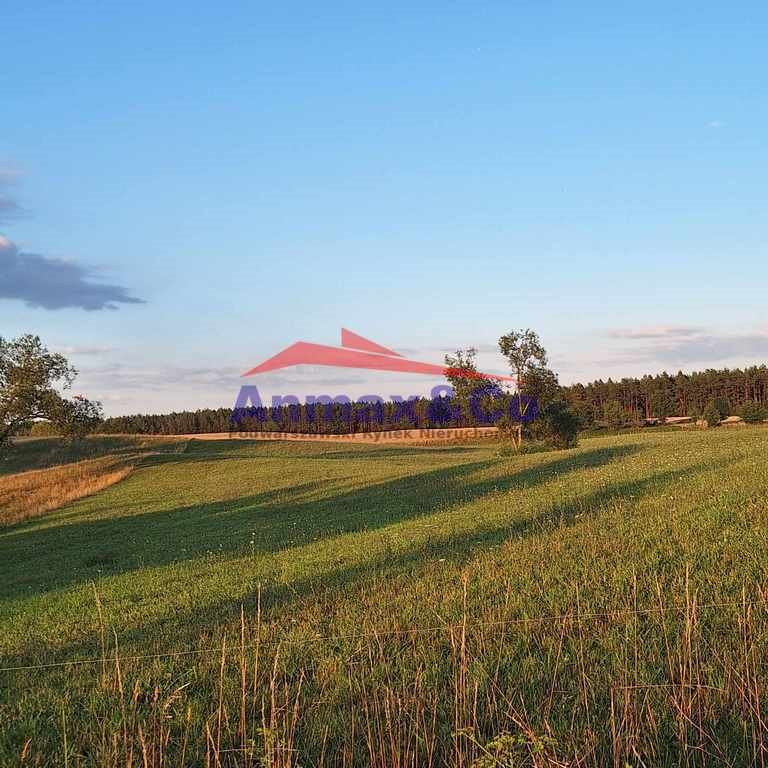 Działka budowlana na sprzedaż Strzelniki  3 900m2 Foto 4