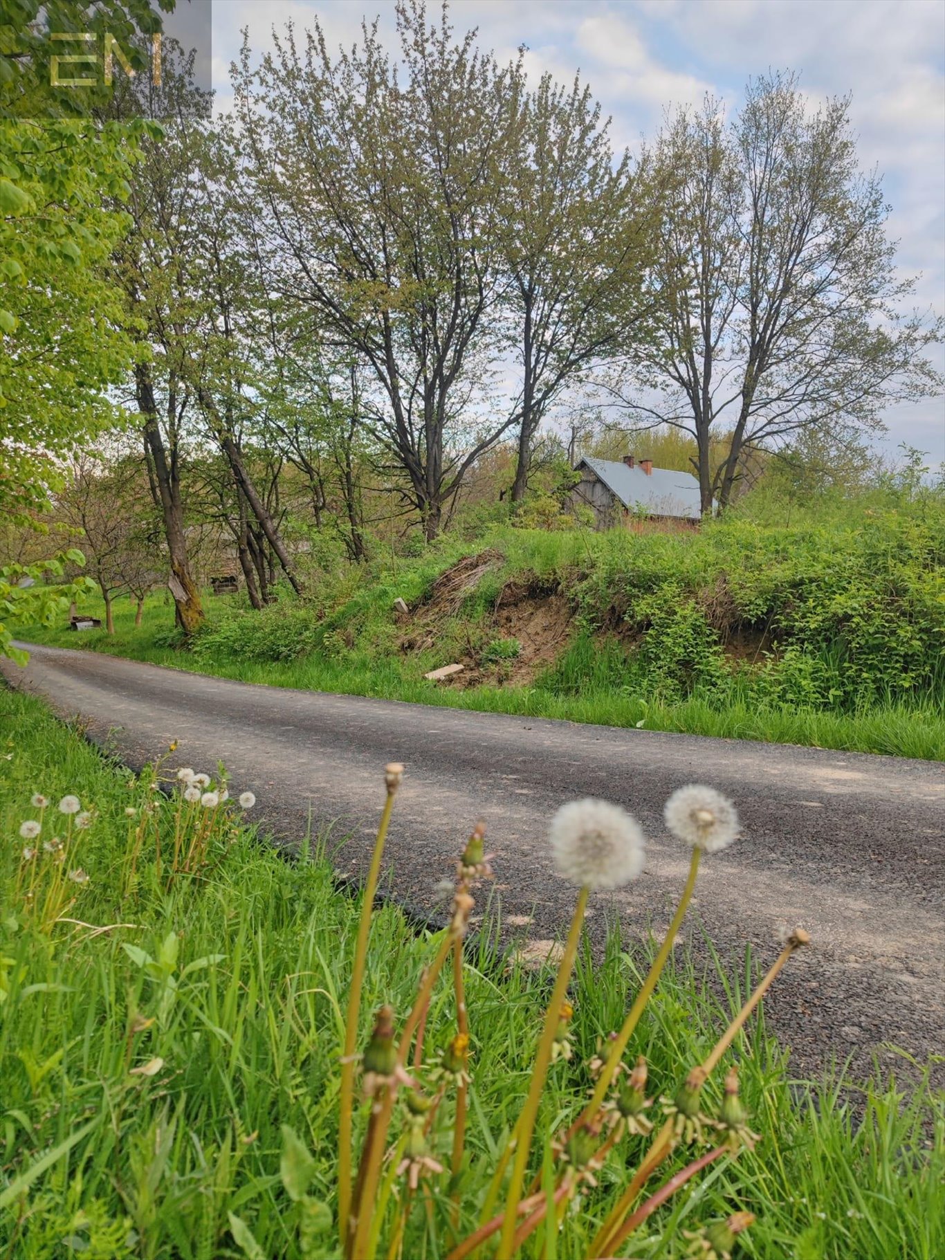 Działka budowlana na sprzedaż Hadle Kańczuckie  3 300m2 Foto 5